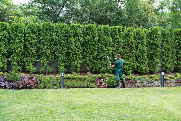 Best Tree Risk Assessment  in Horse Cave, KY