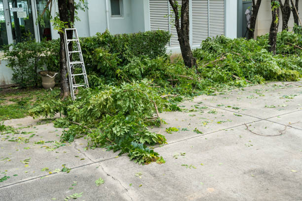 Leaf Removal in Horse Cave, KY